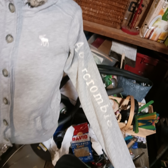 Hollister hoodies ,pullovers ,button ups - Picture 4 of 10